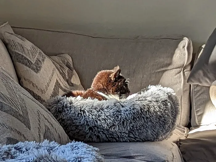 PatterPaws Animal Hospital Picture 8