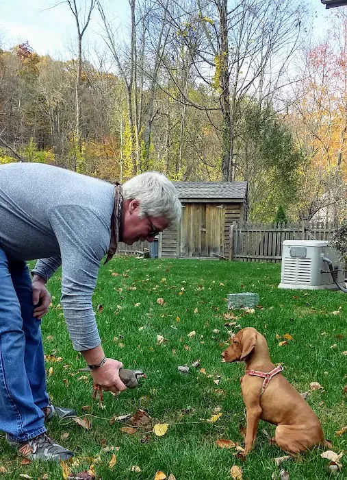 PatterPaws Animal Hospital Picture 5