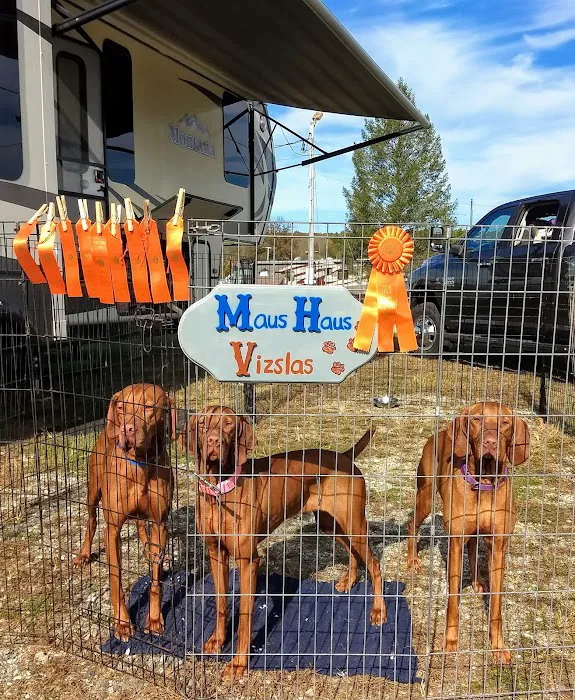 PatterPaws Animal Hospital Picture 6