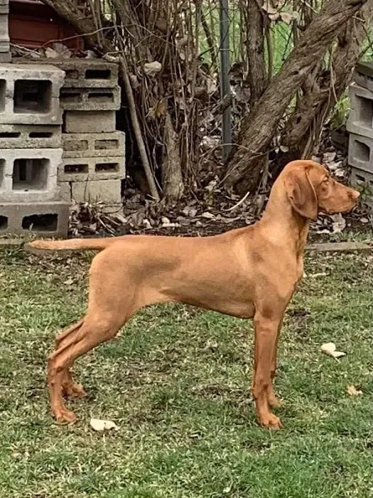 PatterPaws Animal Hospital Picture 2