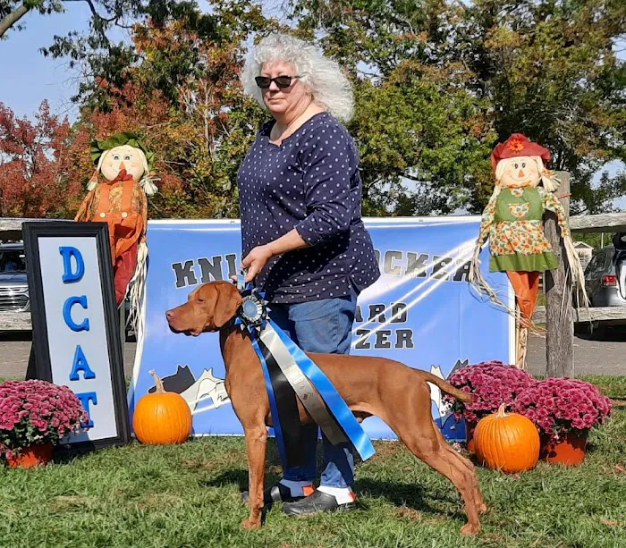 PatterPaws Animal Hospital Picture 3