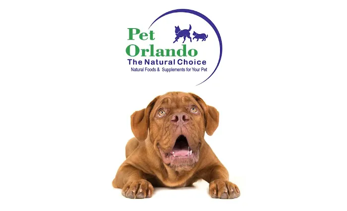Pet Orlando Picture 4