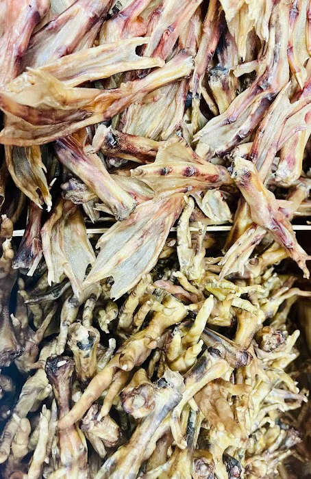 Pet Orlando Picture 2