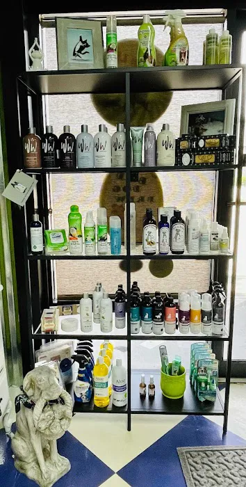 Pet Orlando Picture 5