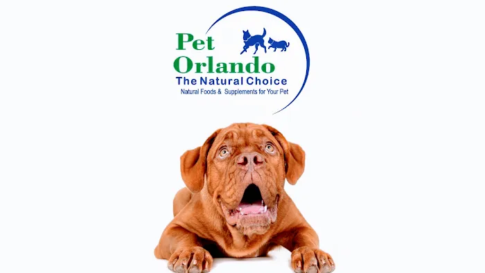 Pet Orlando Picture 7