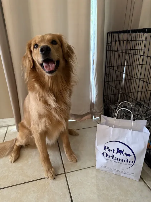 Pet Orlando Picture 3