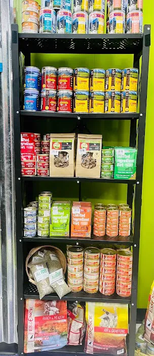 Pet Orlando Picture 9