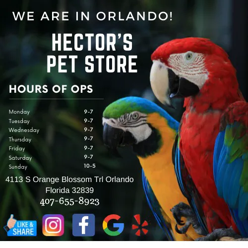 Hector's Pet Store Picture 7