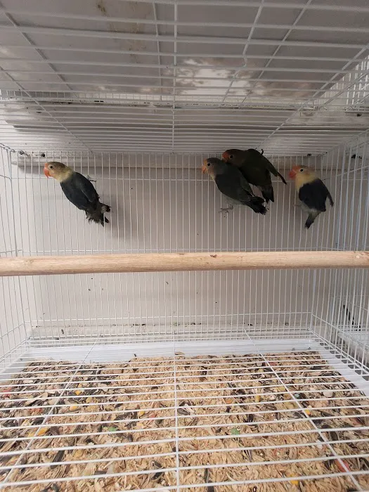 Hector's Pet Store Picture 8