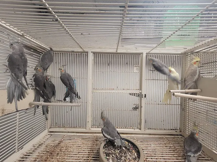 Hector's Pet Store Picture 6