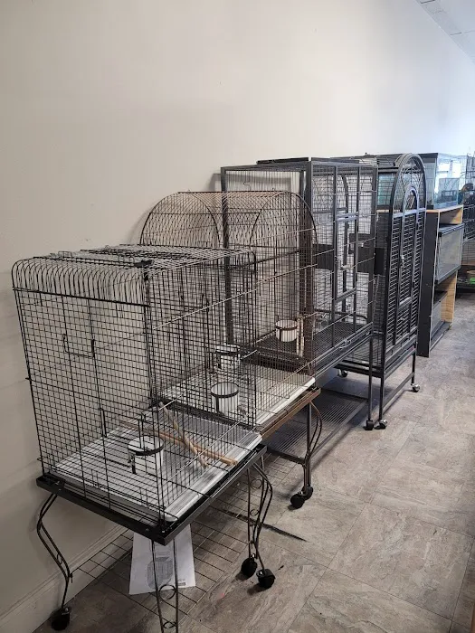 Hector's Pet Store Picture 1