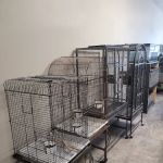 Hector's Pet Store