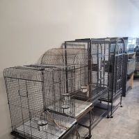 Hector's Pet Store ico