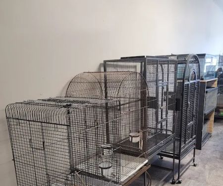 Hector's Pet Store