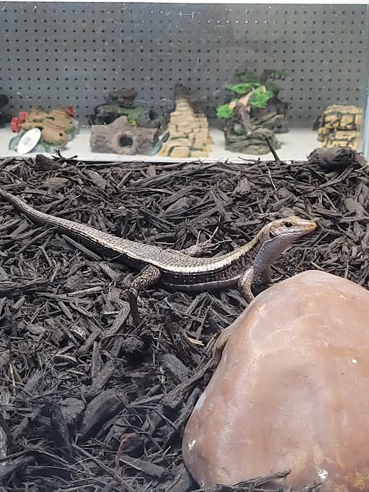 Hector's Pet Store Picture 10