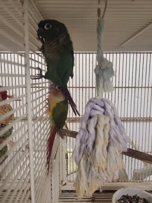 Hector's Pet Store Picture 9