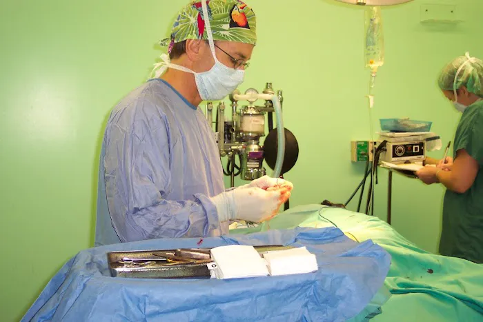 Community Animal Care Picture 8