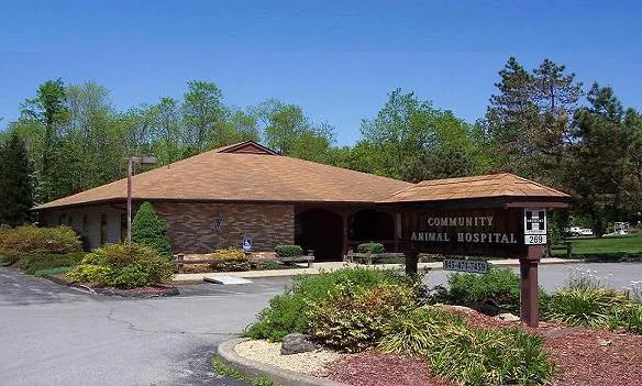 Community Animal Care Picture 7