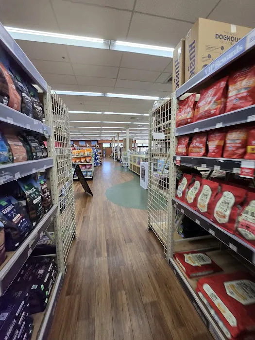 Pet Supermarket Picture 7