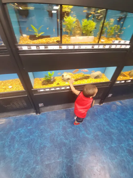 Pet Supermarket Picture 5