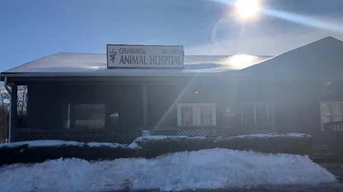 Cedarknoll Animal Hospital Picture 2