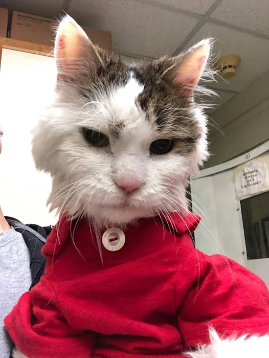 Cedarknoll Animal Hospital Picture 3