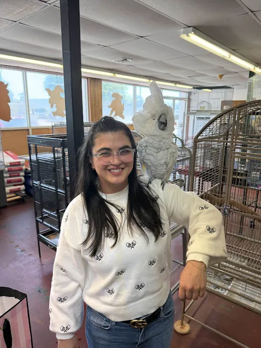 The Bird Store Picture 2