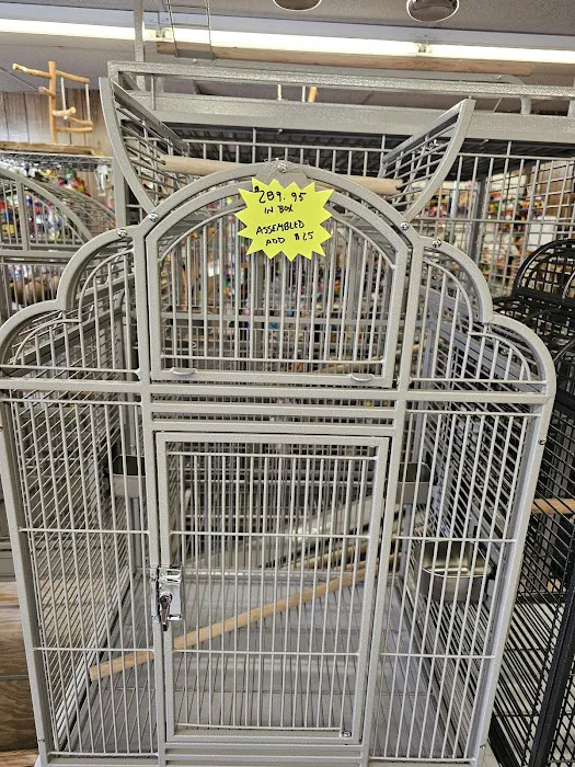 The Bird Store Picture 6