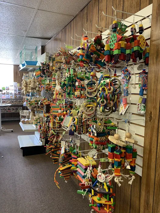 The Bird Store Picture 7