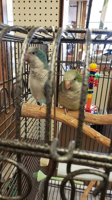 The Bird Store Picture 5