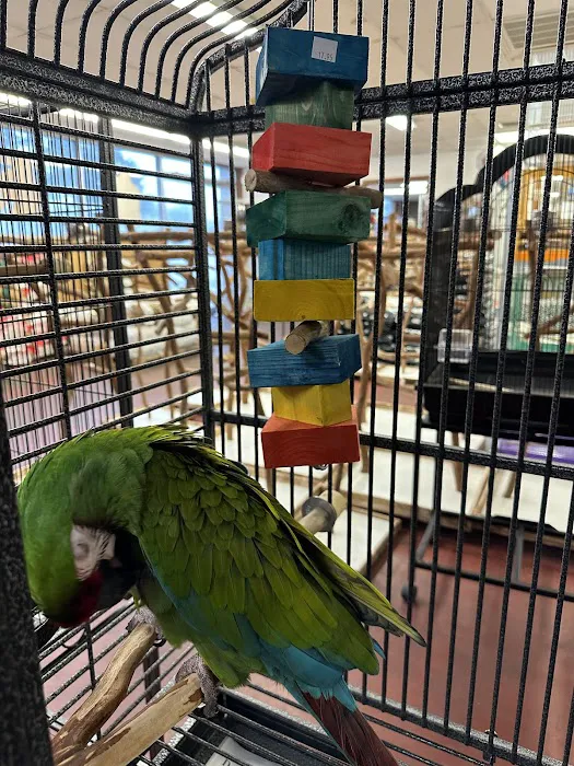 The Bird Store Picture 4