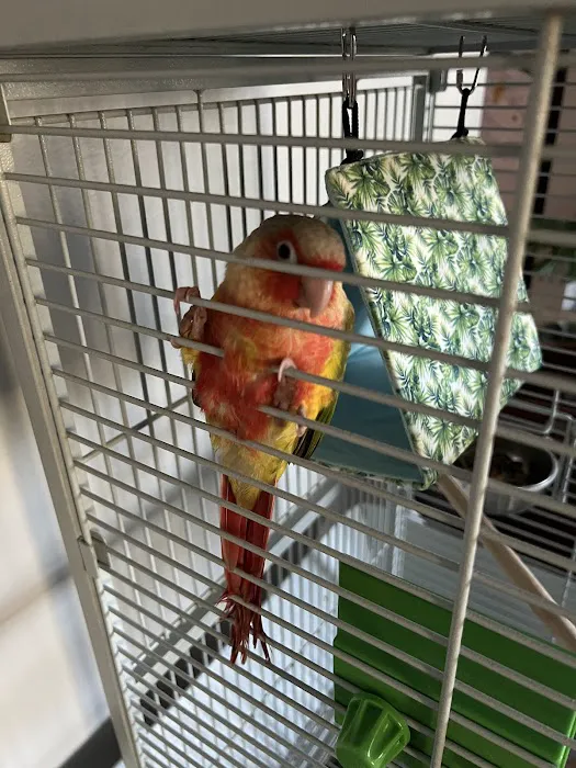 The Bird Store Picture 3