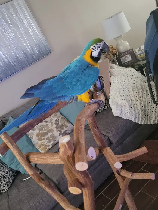 The Bird Store Picture 9