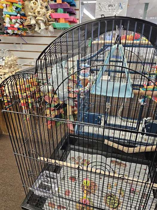 The Bird Store Picture 10