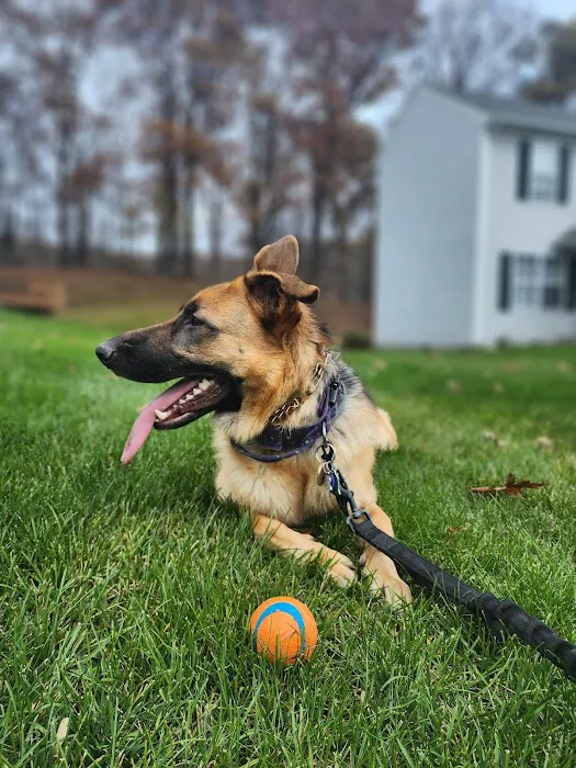 The Animal Rights Alliance Inc. (T.A.R.A.) Picture 4