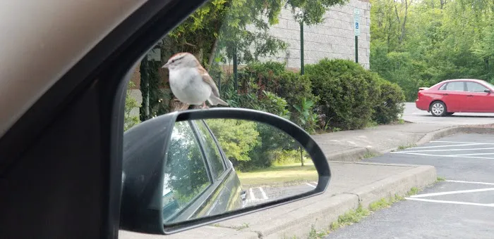 The Animal Rights Alliance Inc. (T.A.R.A.) Picture 5