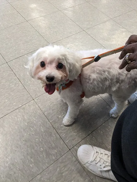 The Animal Rights Alliance Inc. (T.A.R.A.) Picture 3