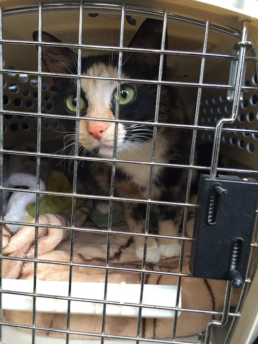 The Animal Rights Alliance Inc. (T.A.R.A.) Picture 8