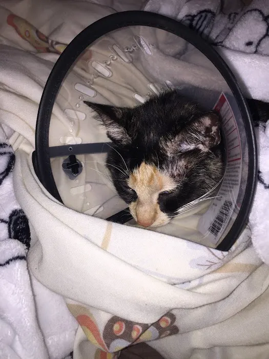 The Animal Rights Alliance Inc. (T.A.R.A.) Picture 9