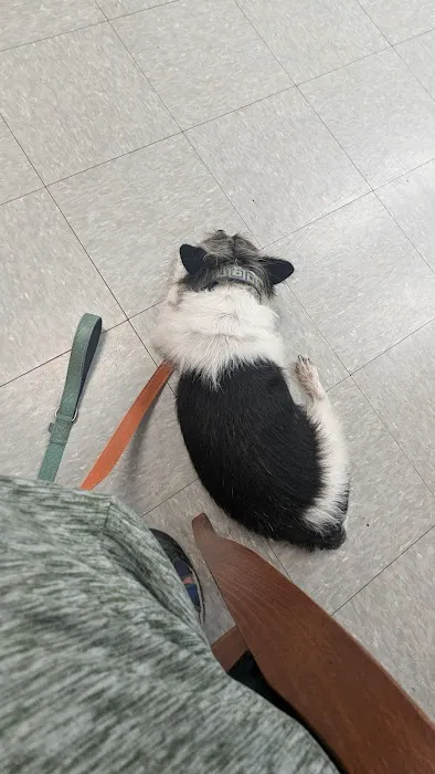 The Animal Rights Alliance Inc. (T.A.R.A.) Picture 2