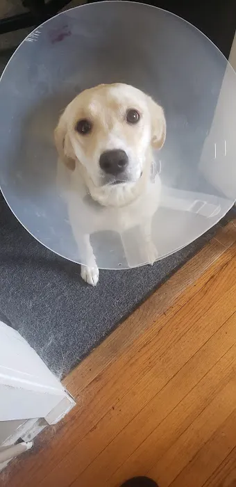 The Animal Rights Alliance Inc. (T.A.R.A.) Picture 1