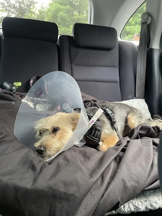 The Animal Rights Alliance Inc. (T.A.R.A.) Picture 7