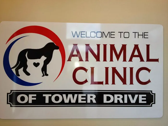 Kelli Hewlett, DVM Picture 1