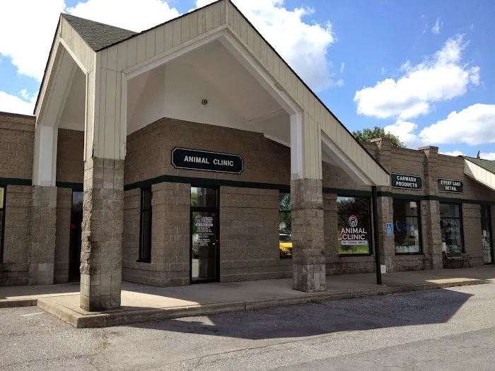 Kelli Hewlett, DVM Picture 3