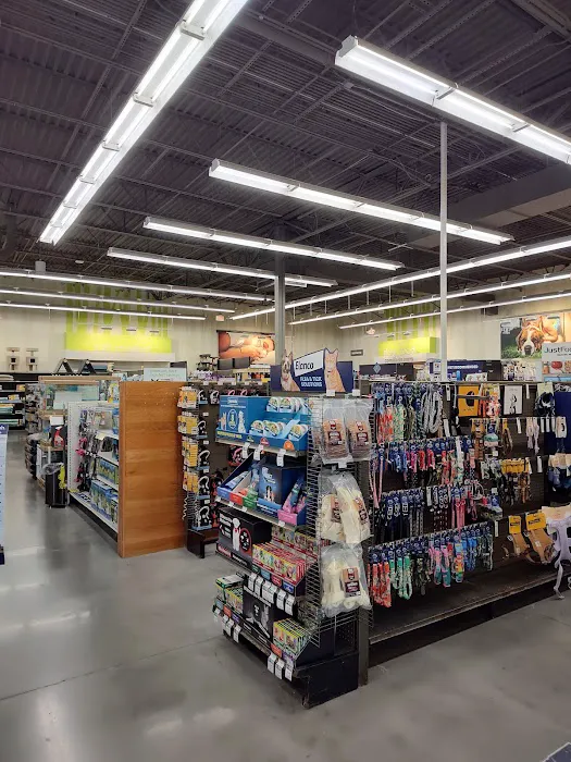 Petco Picture 3