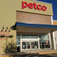 Petco ico