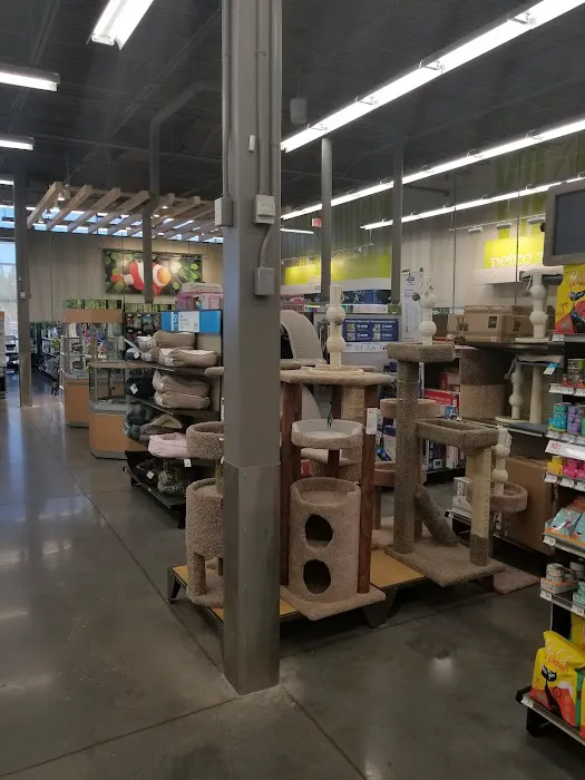 Petco Picture 9