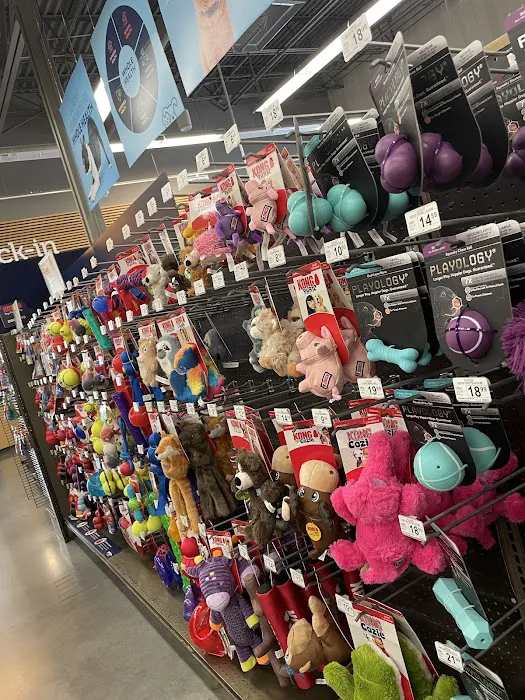 Petco Picture 2