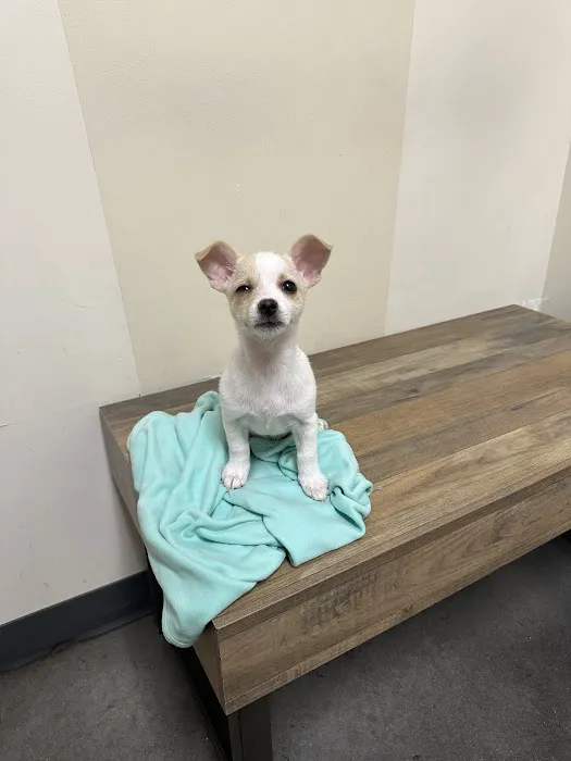 Petco Picture 8