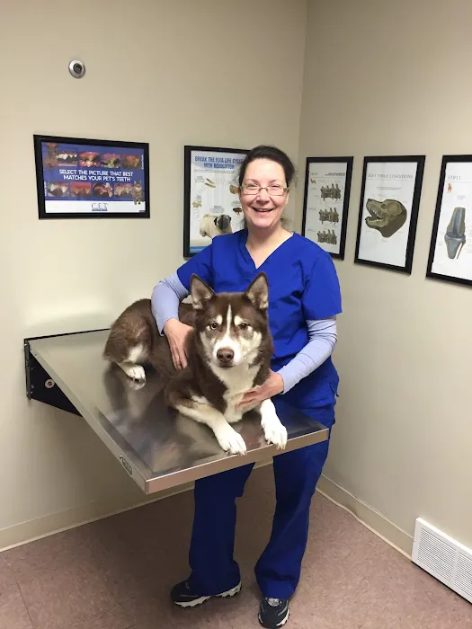 Animal Clinic Of Tower Drive Picture 7